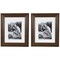Northlight Wooden Picture Frames - for 8" x 10" Photos - Dark Brown - Set of 2